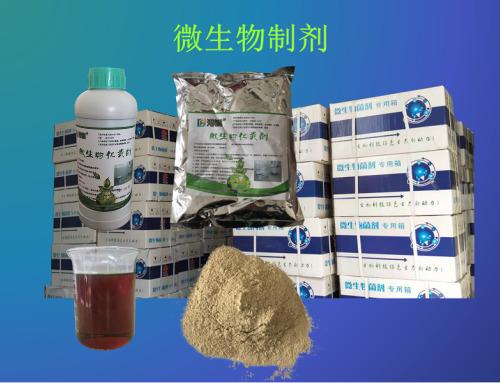 農(nóng)村旱廁改造與生物肥料利用 施工圖紙與創(chuàng)新方法