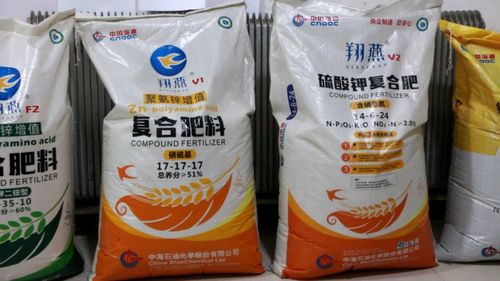 生物肥料與回頭客 富島翔燕驅(qū)動(dòng)?xùn)|北葡萄產(chǎn)業(yè)增值